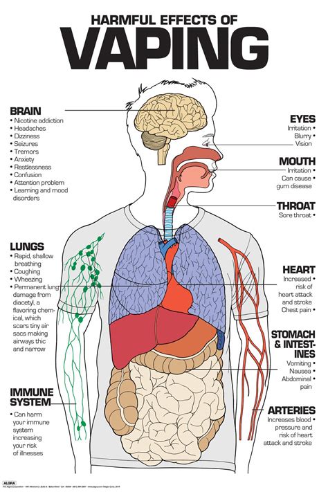 e cigaret bivirkninger|Health Effects of Vaping 